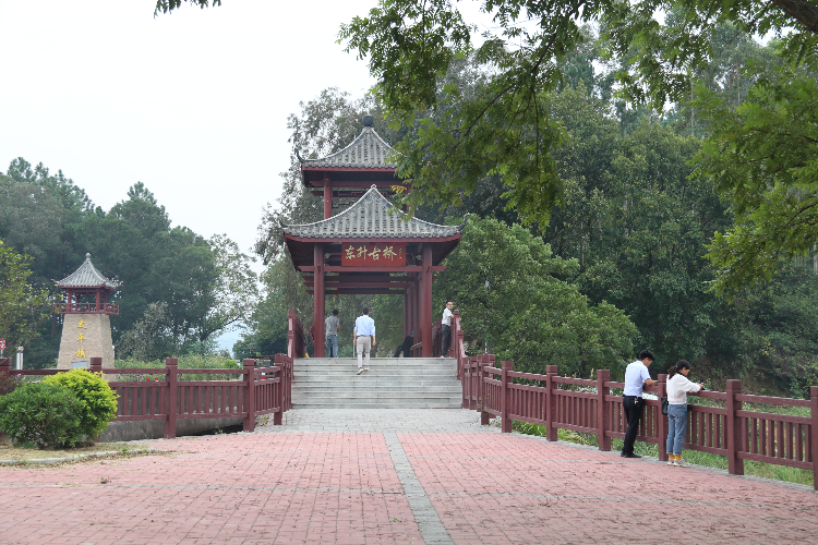 太平鎮(zhèn)面貌向美而行，群眾生活越來越舒適了。清遠(yuǎn)日報(bào)訊 特約通訊員張麗思 攝.JPG