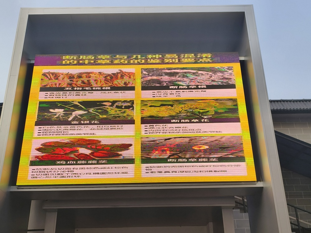 在農(nóng)貿(mào)市場(chǎng)大屏幕滾動(dòng)播放易混淆中草藥鑒別要點(diǎn).jpg